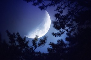 Растущая Луна на ночном небе