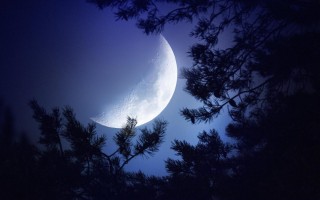 Растущая Луна на ночном небе