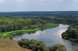 Леса Ростовской области