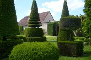 Топиарная стрижка туи