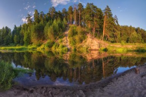 Леса Ивановской области