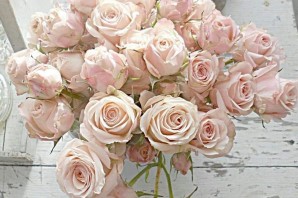 Розы пудрового цвета