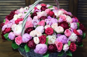 Шикарный букет пионов