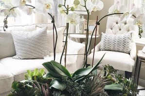 Композиции с комнатными цветами