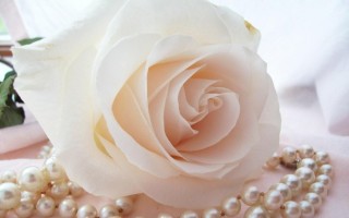 Розы и жемчуг