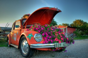 Автомобиль с цветами