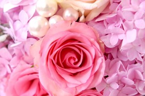 Цветы на ватсап красивые