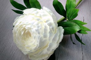 Пионы из фоамирана