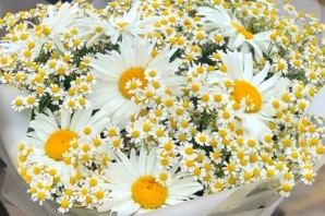 Ромашки для любимой