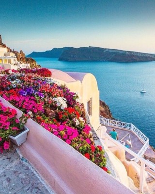 Греция цветы