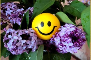 Смайлик цветок
