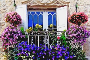 Окна украшенные цветами