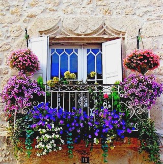Окна украшенные цветами