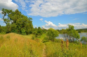 Растения Ивановской области