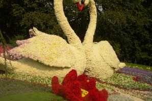 Инсталляция из цветов