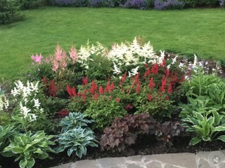 Клумба Хоста и астильба