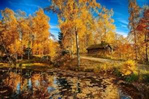 Осенний пейзаж красиво