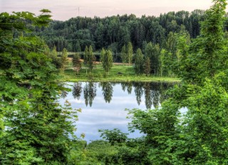 Эстония природа