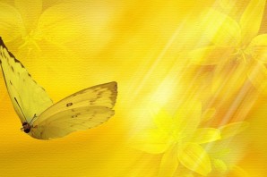 Красивые желтые обои на телефон