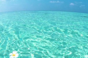 Красивые летние обои на телефон