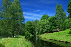 Летняя природа картинки