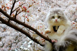 Прикольные весенние картинки