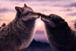 Волк и волчица арт