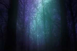 Мрачный лес арт
