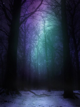 Мрачный лес арт