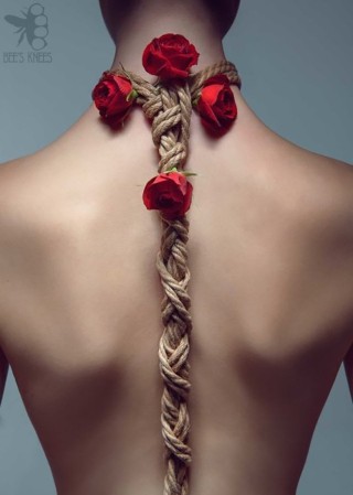 Шибари картинки