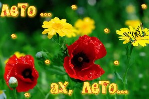 Лето пришло картинки