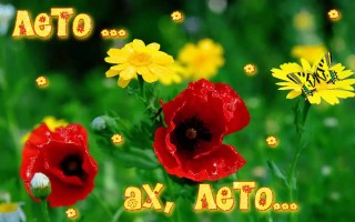 Лето пришло картинки