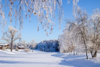 Зимушка зима картинки