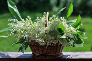 Красивые картинки с ландышами