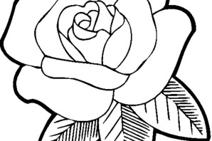 Картинки для раскрашивания цветы