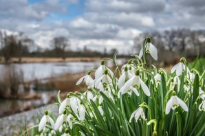 Весна апрель картинки