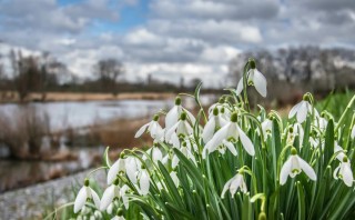 Весна апрель картинки