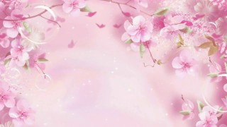 Фон цветочный нежный