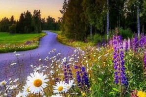 Картинки на телефон природа лето