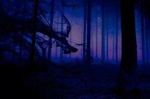 Фон страшный лес