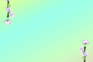 Фон для текста вертикальный