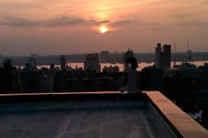 Фон для гачи крыша