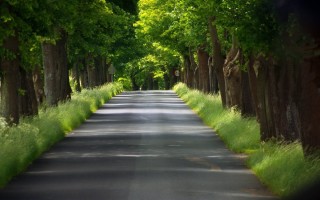 Задний фон улица