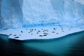Горы антарктиды