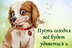 Открытки с пожеланиями хорошего настроения