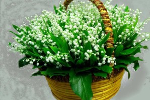 С днем рождения ландыш