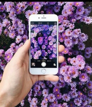 Фиолетовый телефон
