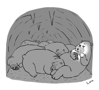 Медведь спит в берлоге