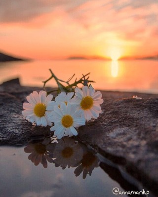 Благословенного вечера и доброй ночи