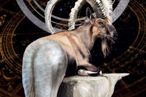 Козерог животное